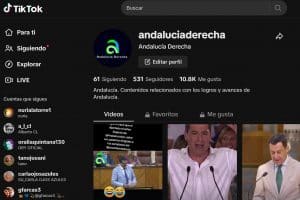 TikTok como herramienta de comunicación política en 2023