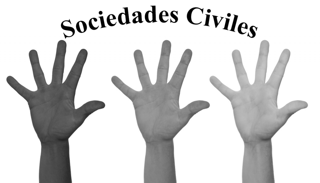 sociedad civil