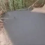 Los Gobiernos no priorizan el cuidado del Mar Menor