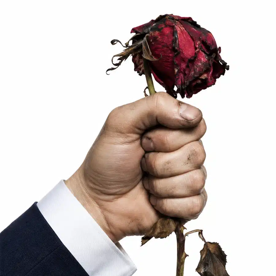 Corrupción socialista. El puño y la rosa.