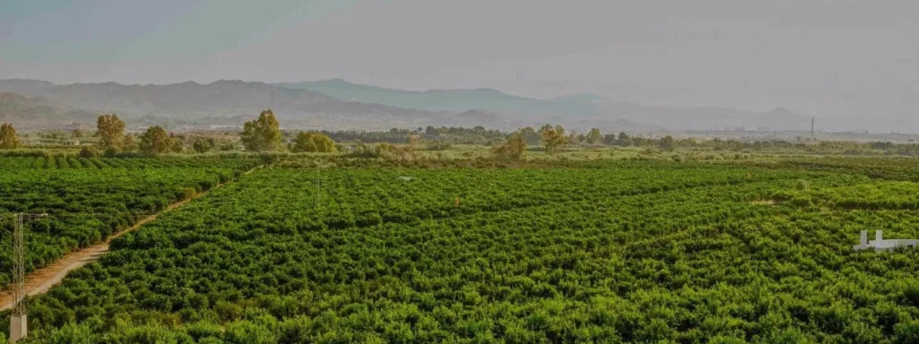 la vega mestanza