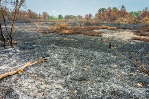 En el documental Yerma 2030, que recomendamos visionar, se explica la situación de un campo indefenso.