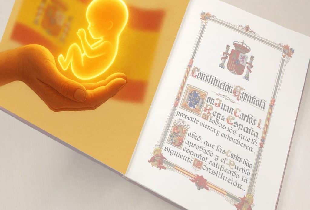 El aborto como derecho constitucional