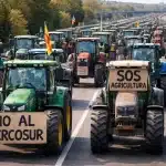 Mercosur y la tormenta agraria que sacudirá la política andaluza