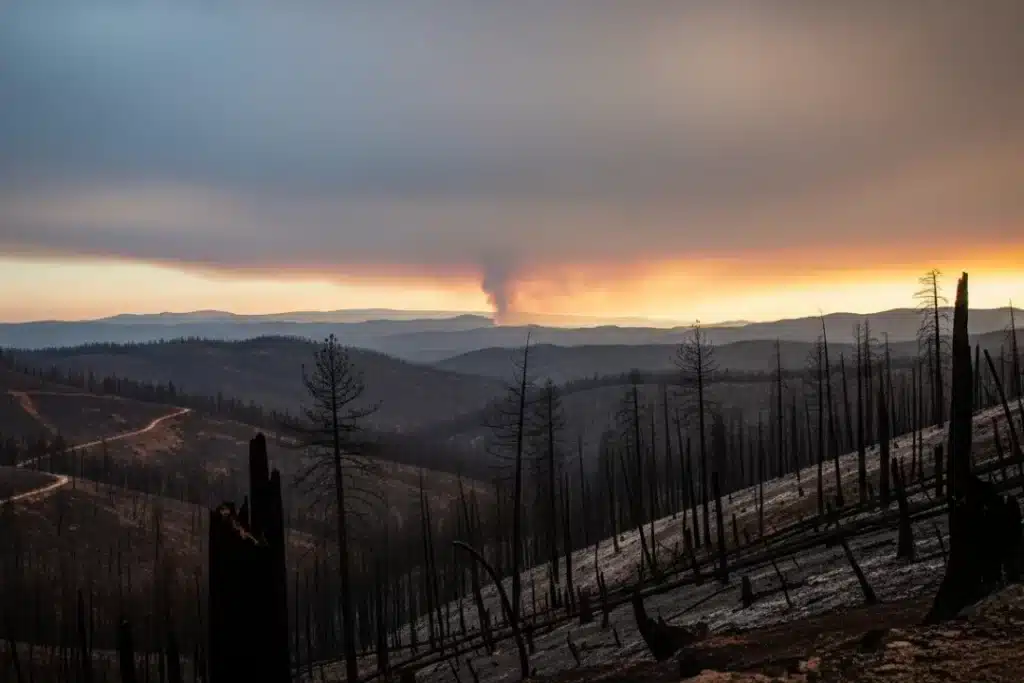 El monte no arde solo por el clima